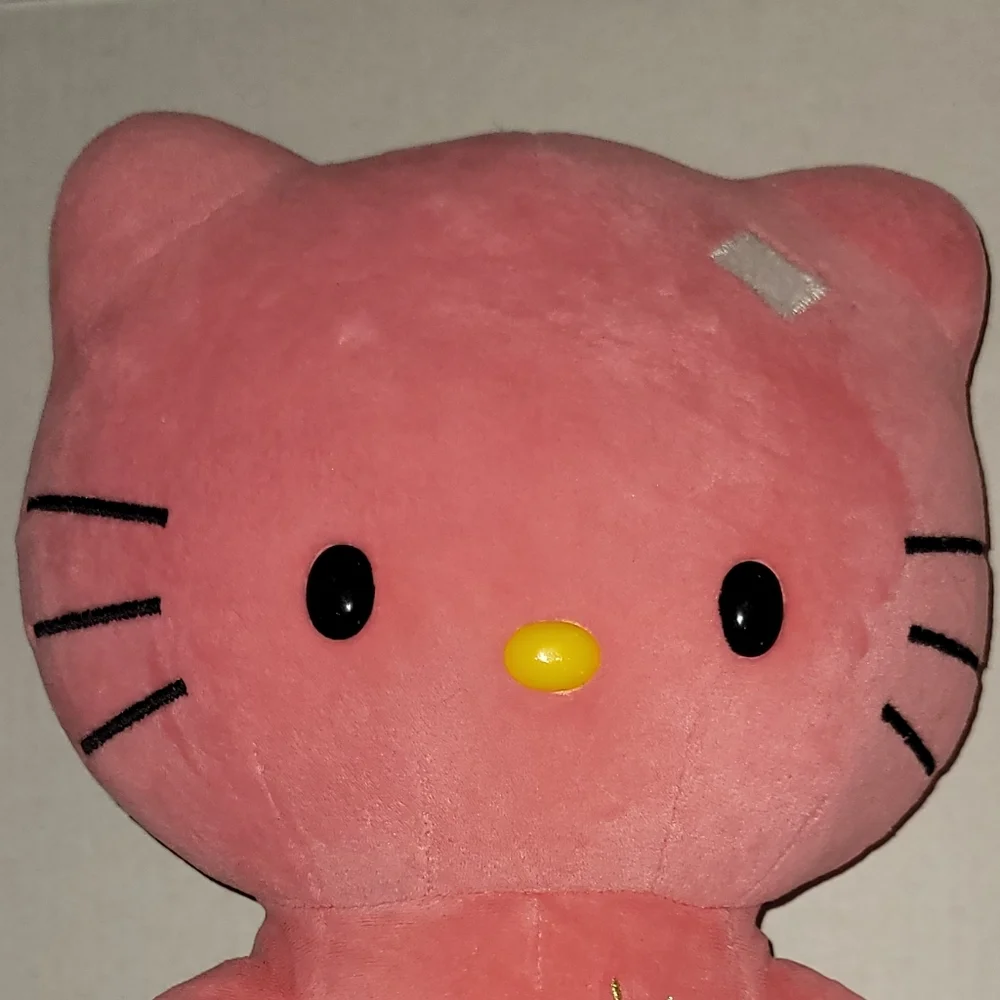 Hello Kitty Build A Bear Sunshine Limited Edition Coral Pink Flower 2013 Rare